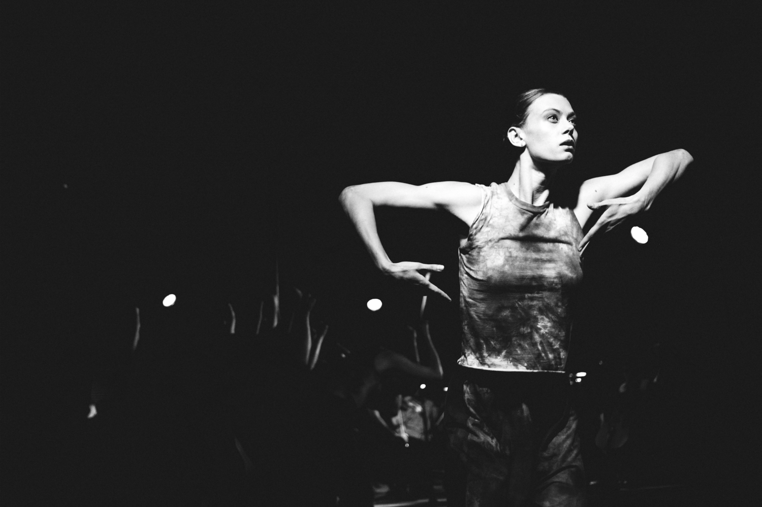 photo: Eden Frangipane