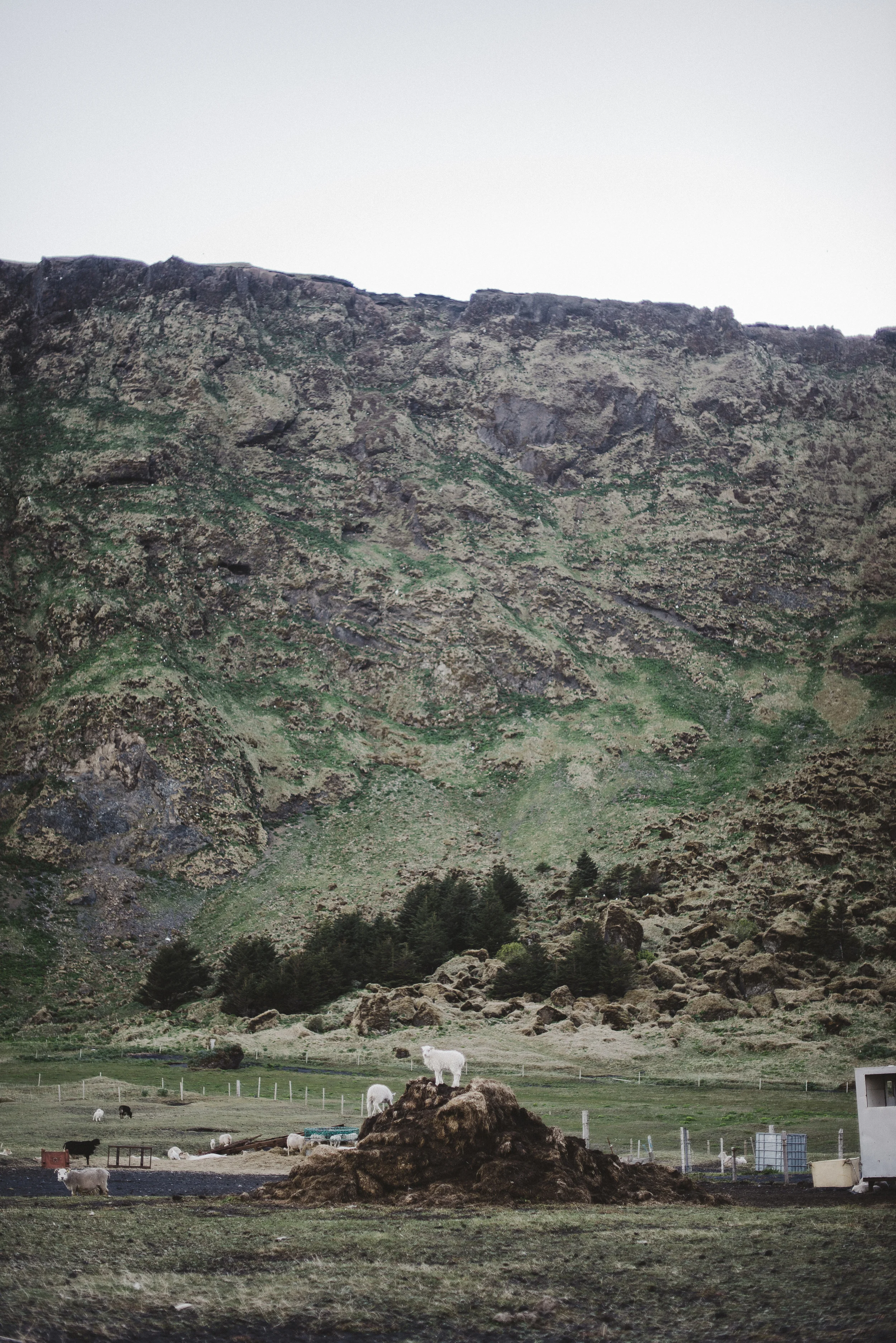 IcelandDayTwo211.jpg
