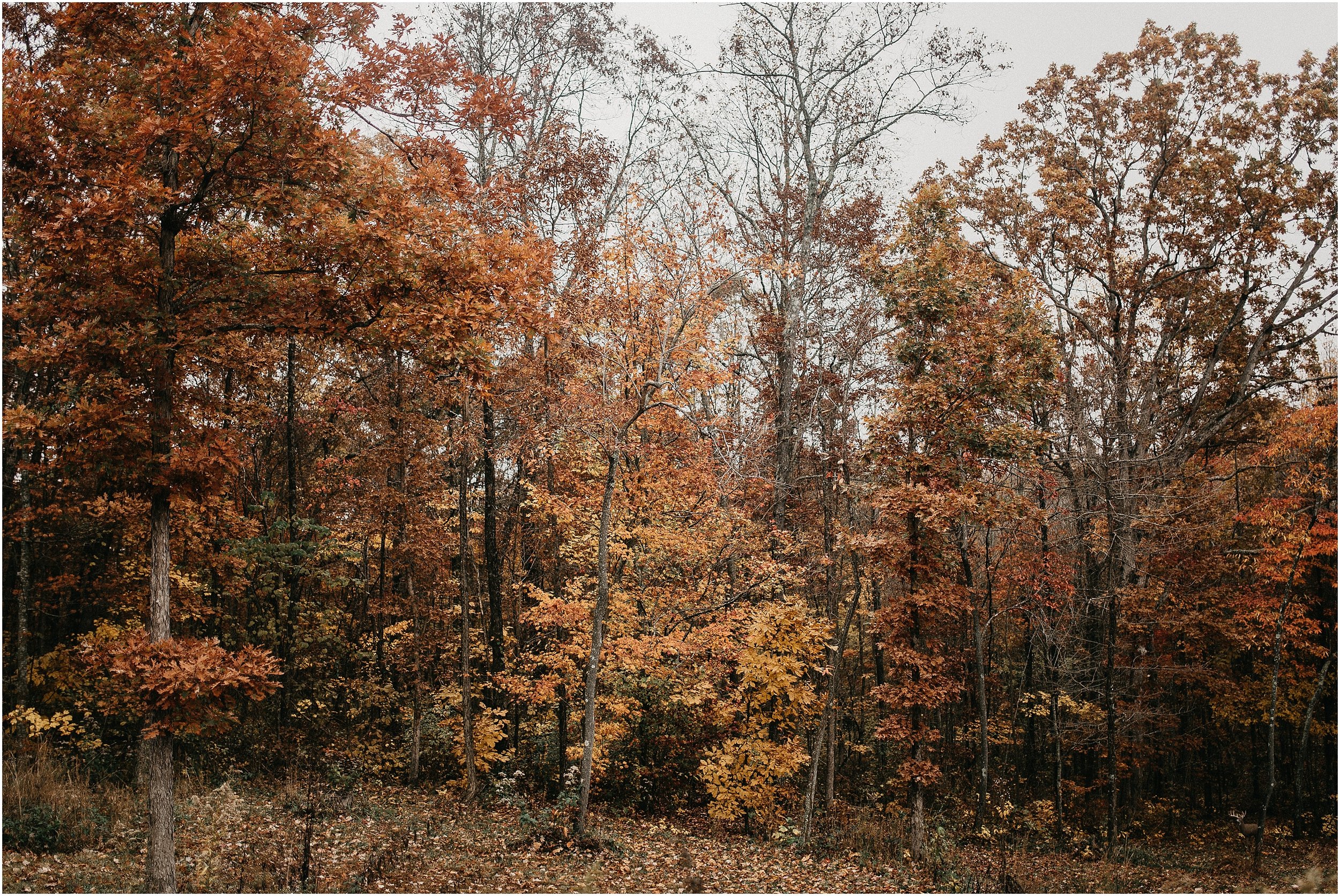 Chattanooga-Autumn-Engagement-01.jpg