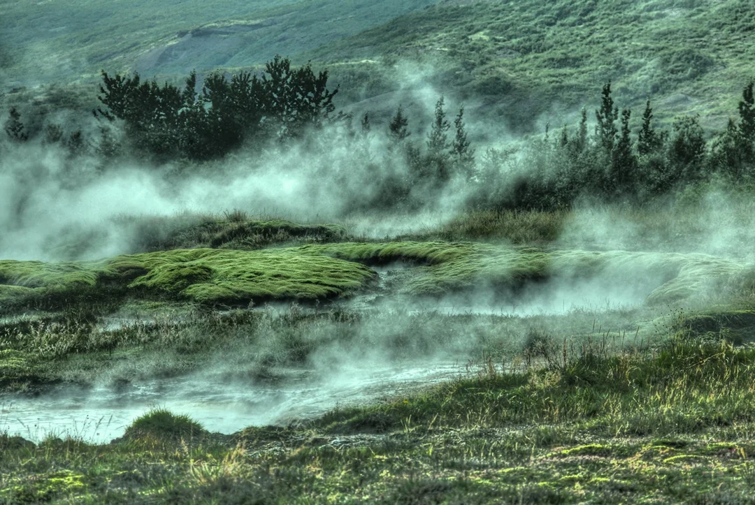 greenmeadow.jpg