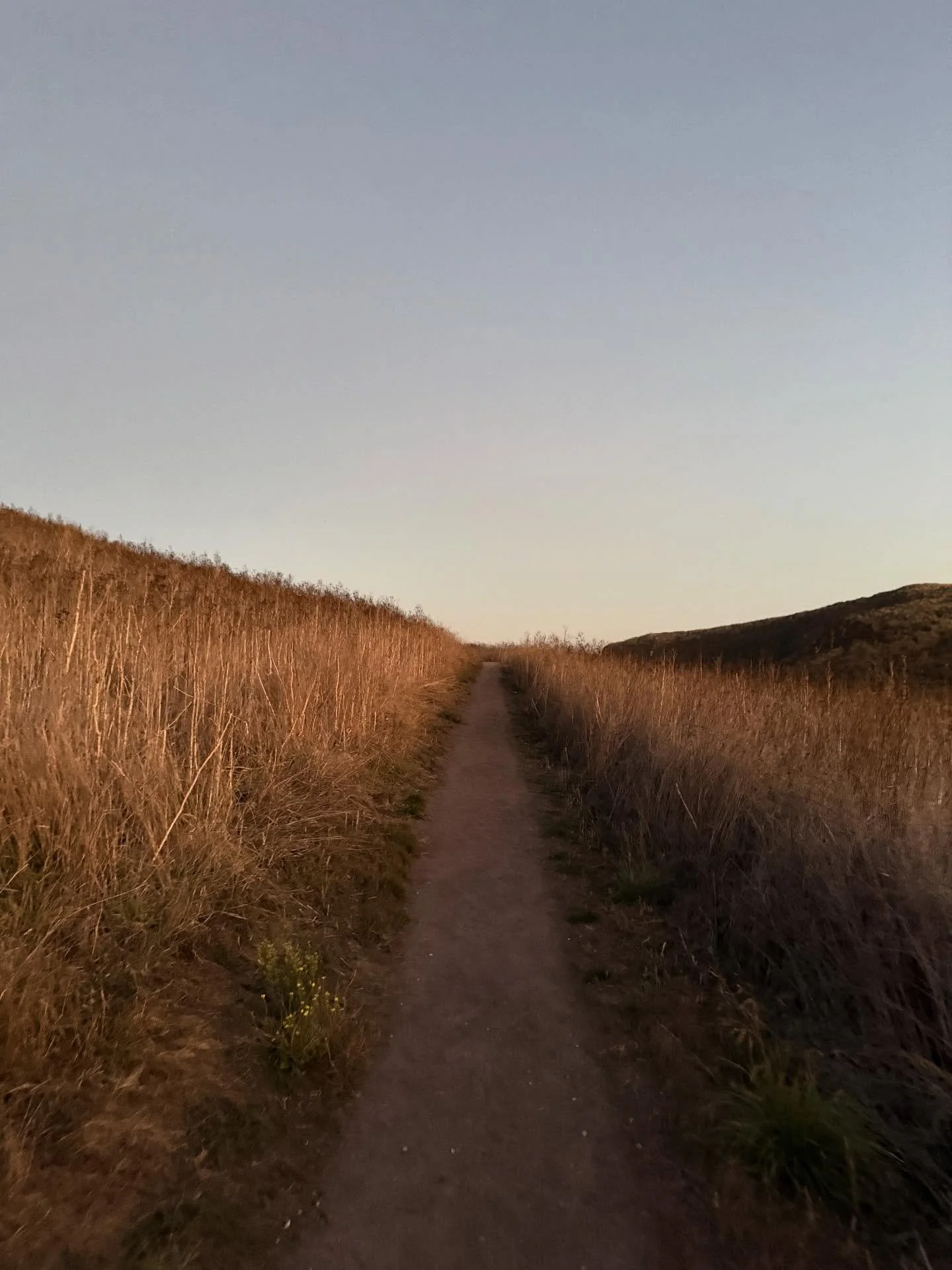 Fall. Mostly echo. Walking. Drawing on clay. Studio. Bookbinding.