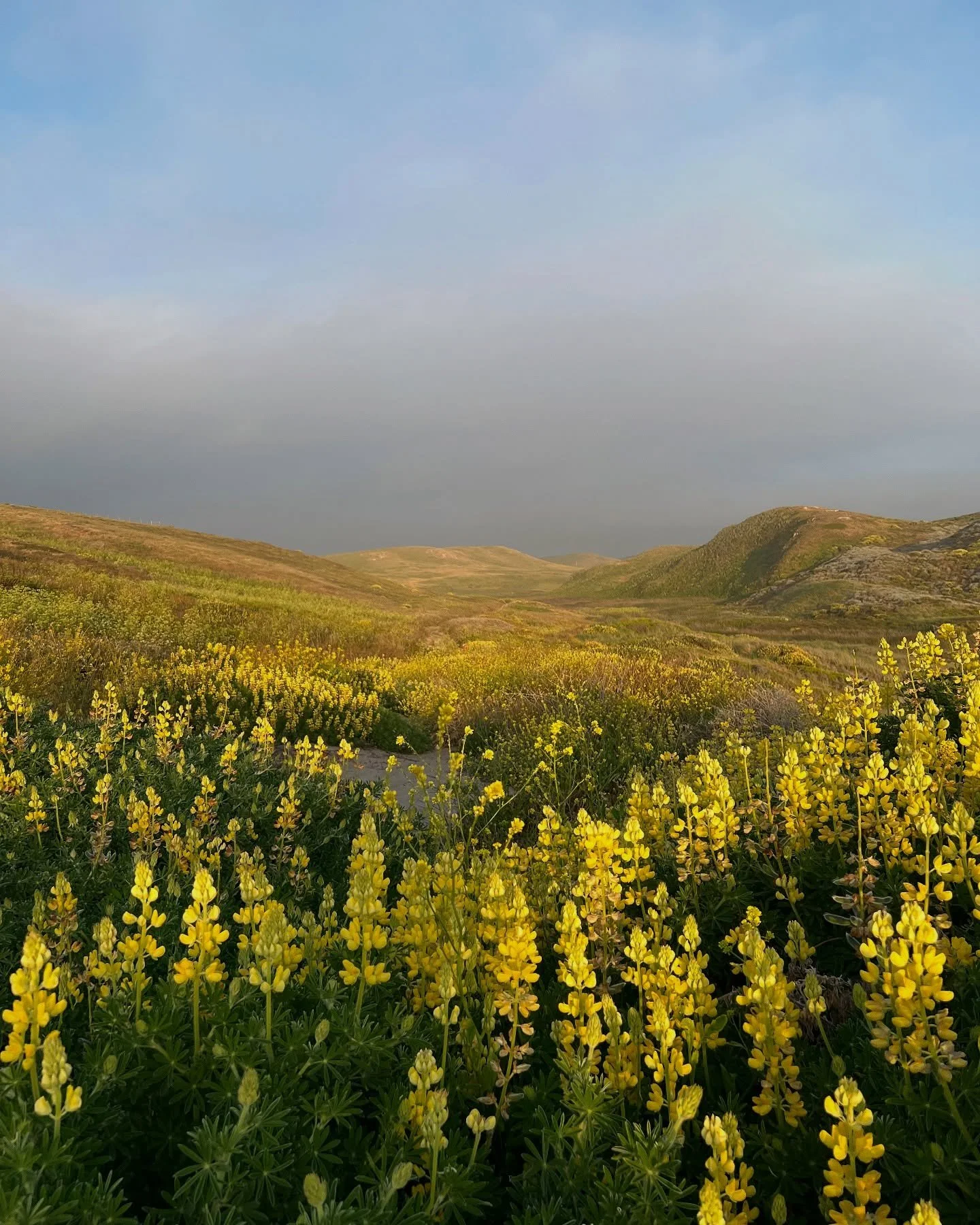 &ldquo;And we pray, not for new earth or heaven, but to be quiet in heart, and in eye clear. What we need is here.&rdquo; #wendellberry