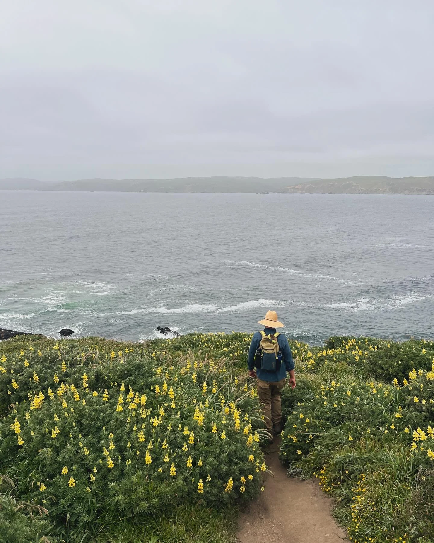 We went on a long coastal wildflower birthday hike to celebrate forrest! It was filled with blooms and elks and quail at every turn. Love sharing my adventures with this sweet &amp; funny man.