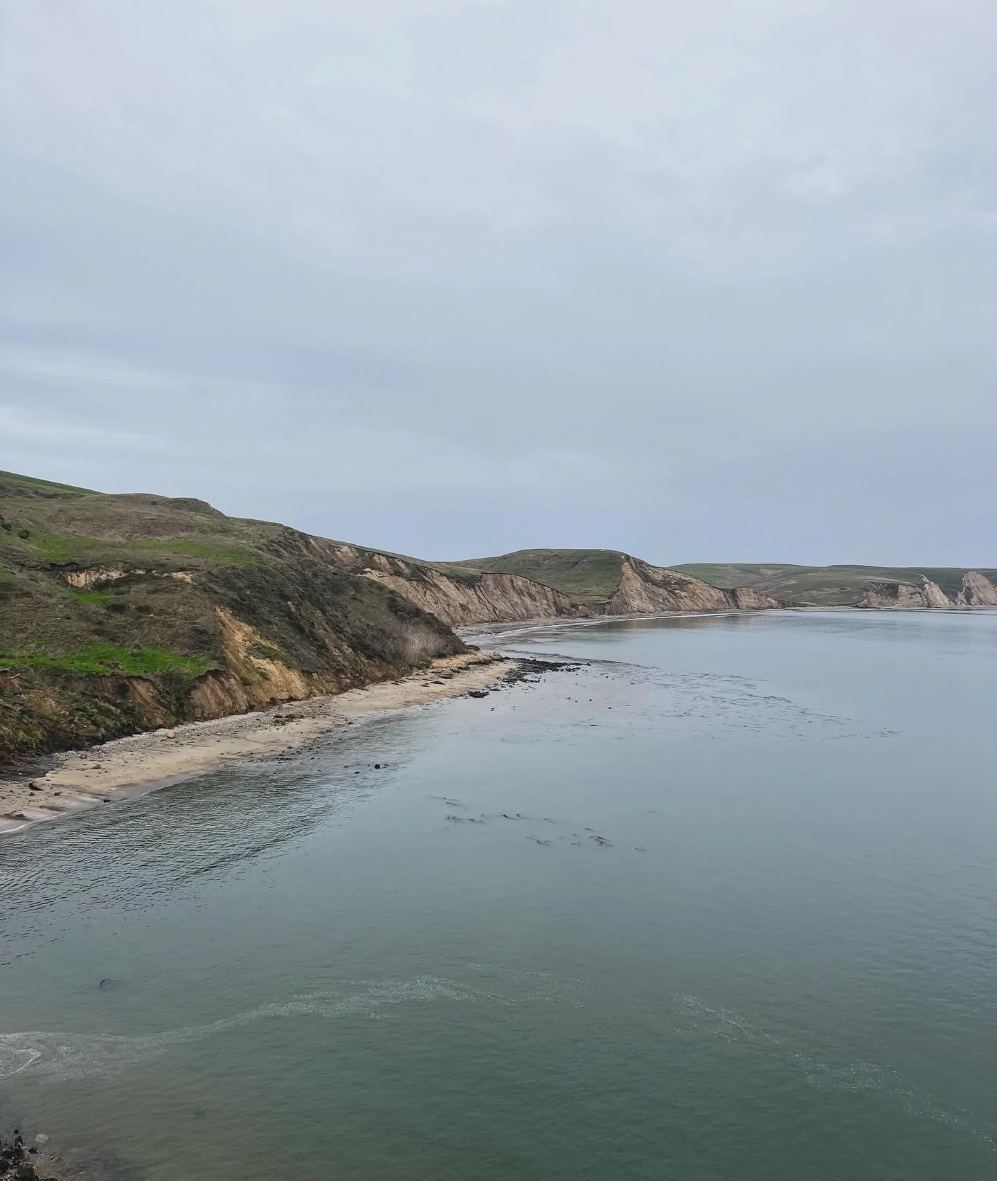 New Year&rsquo;s coast walk to see the elephant seals. 🐘 🦭