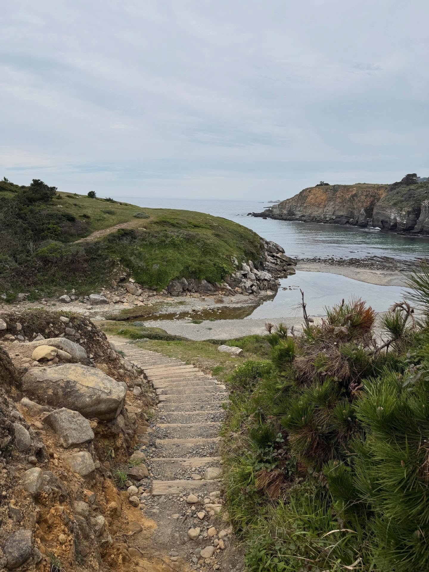 Wildflowers, weird rocks, &amp; whales. (Perfect camping weekend.)