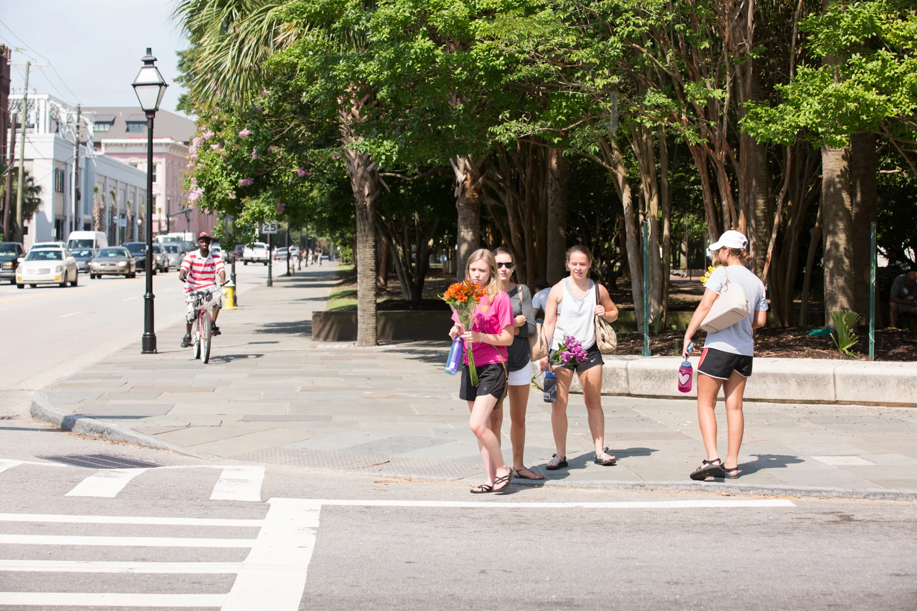 MH20150619-26.jpg