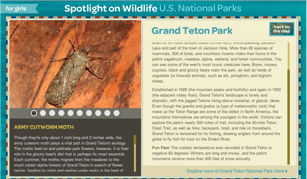 Grand-Teton-Army-Cutworm-Moth-Girl-Scouts.png