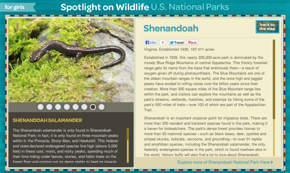 Shenandoah-Shenandoah-Salamander-Girl-Scouts.png