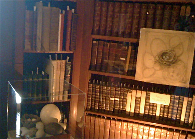 022810_004.jpg