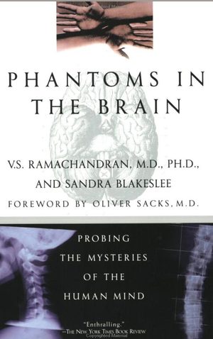 phantoms-in-the-brain.jpg
