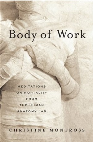 body-of-work-book-cover-paperback.jpg
