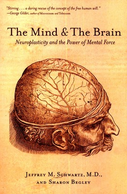 the-mind-and-the-brain-400x400-imadury6ftbnsstx.jpeg