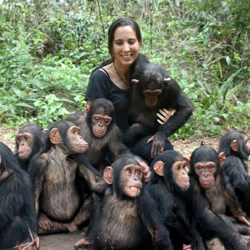 Orphaned Chimpanzees w/ Rebeca Atencia