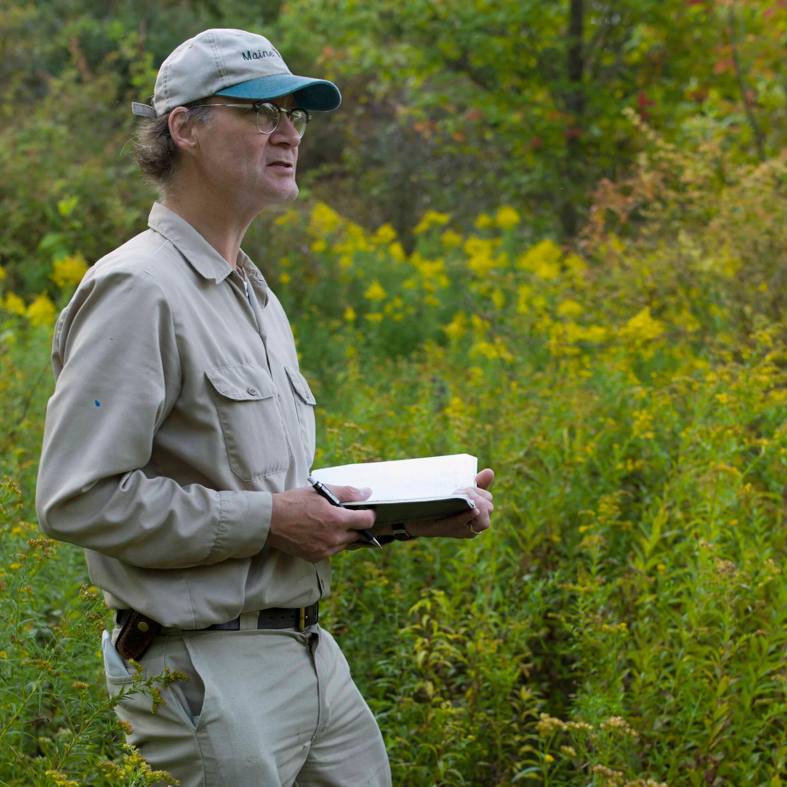 Honeybees w/ Thomas Seeley