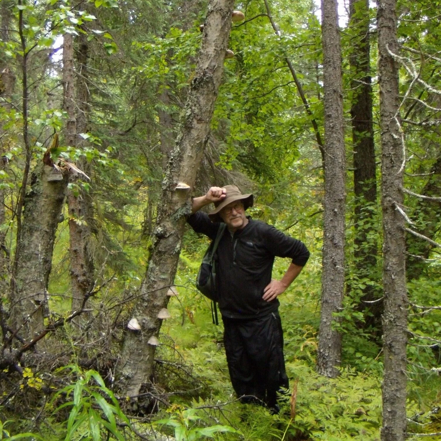 Mushrooms w/ Lawrence Millman
