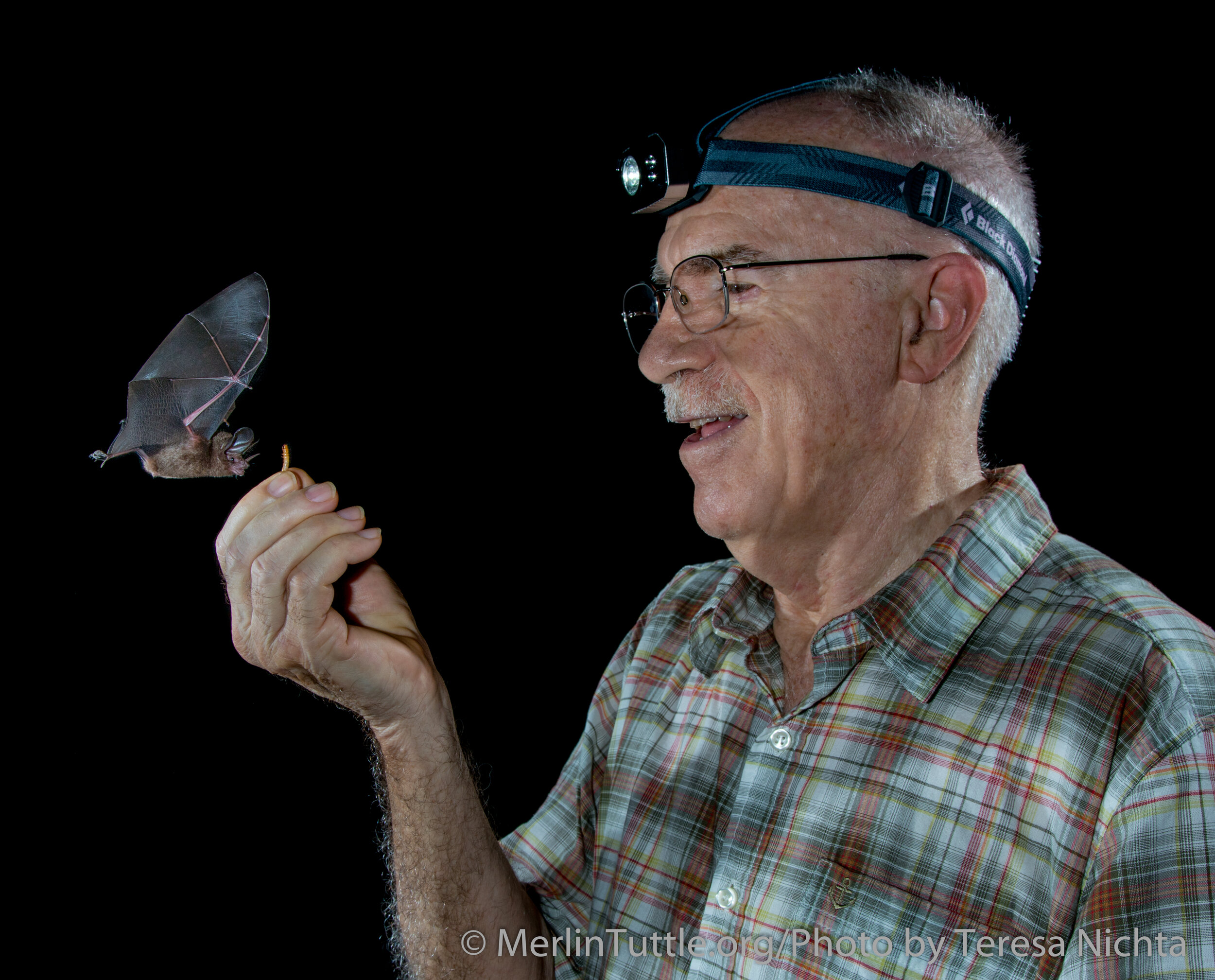 Bats w/ Merlin Tuttle