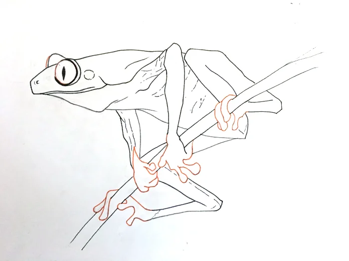 Blog-Line Art.jpg