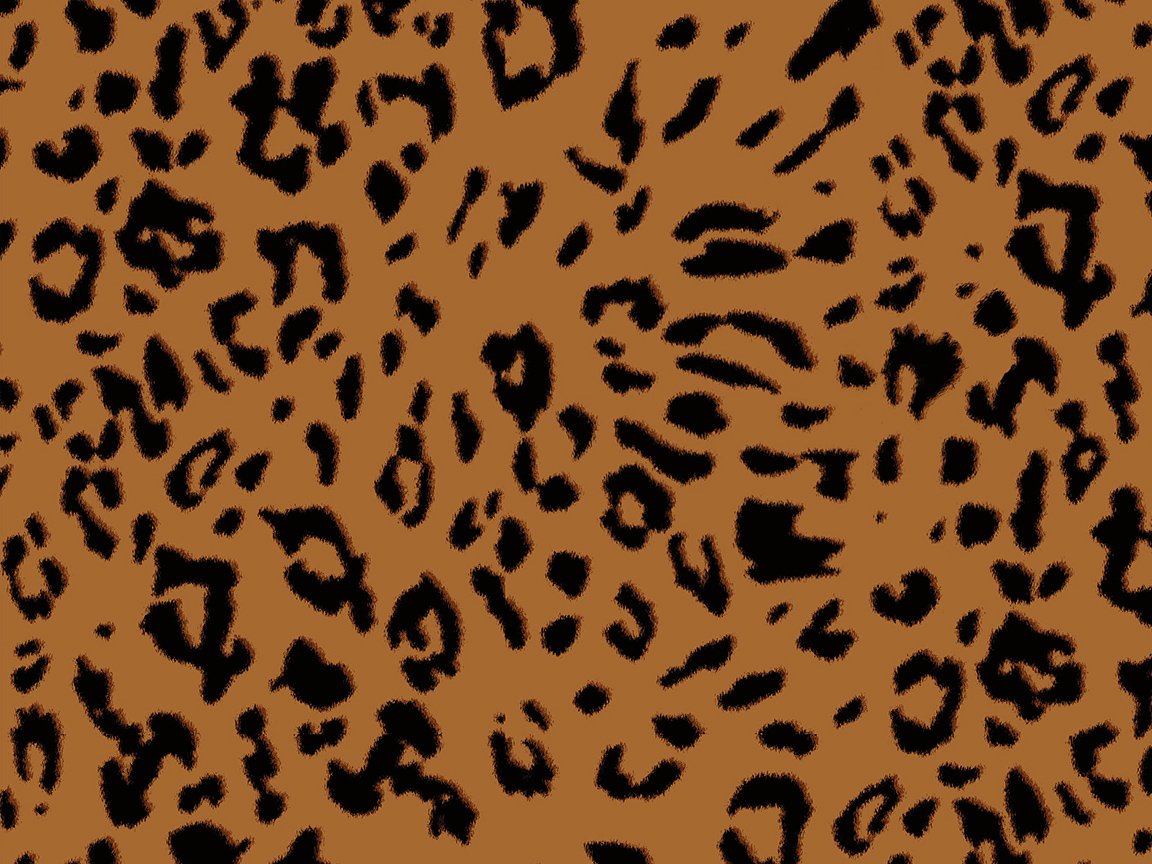 Spots.jpg