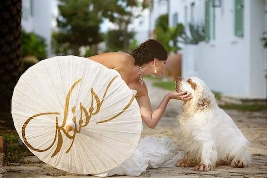 16-bride-parasol-dog.jpg