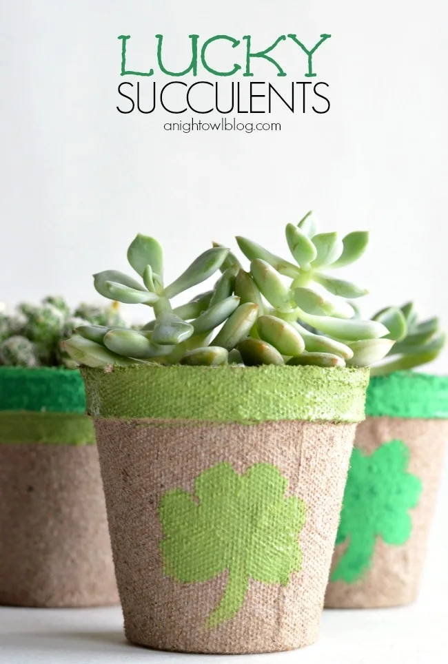 Potted "Lucky Succulents" created by A Night Owl Blog {www.anightowlblog.com} for Snap Creativity {www.snapcreativity.com}