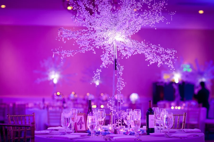 Spectacular Purple Lighting for a Winter Themed Wedding in the Summer | photographer - Portrait Design by Shanti
