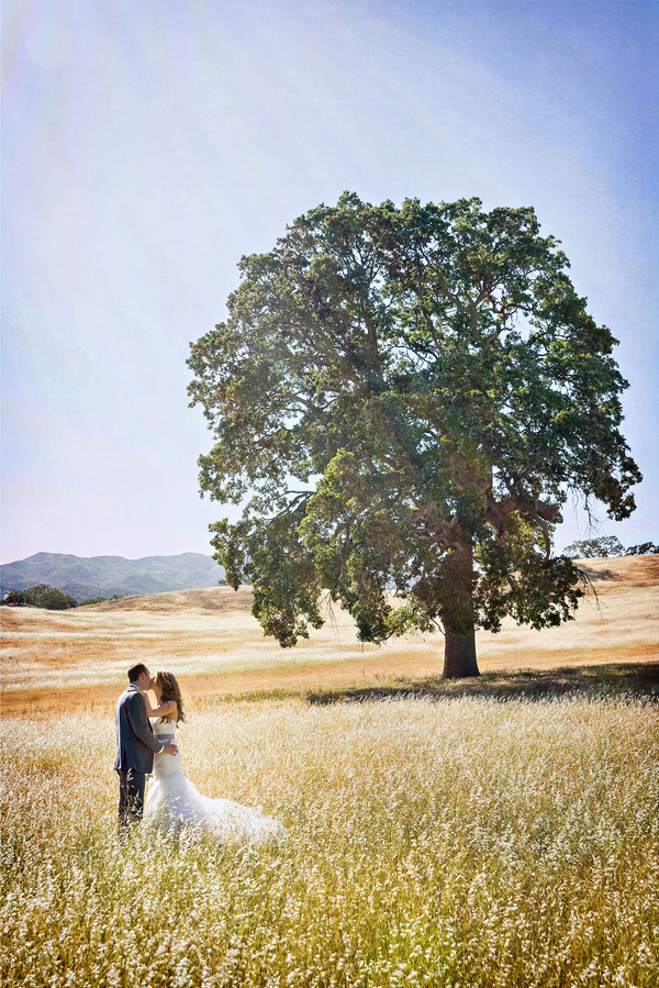  Bride and Groom Portrait with Large Oak Tree | Photo by William Innes Photography | via www.brendasweddingblog.com 