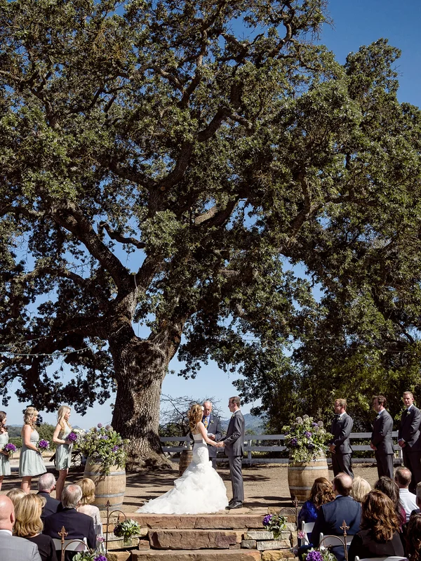 Wedding Vows In Front of a Large Oak Tree | Photo by William Innes Photography | via www.brendasweddingblog.com