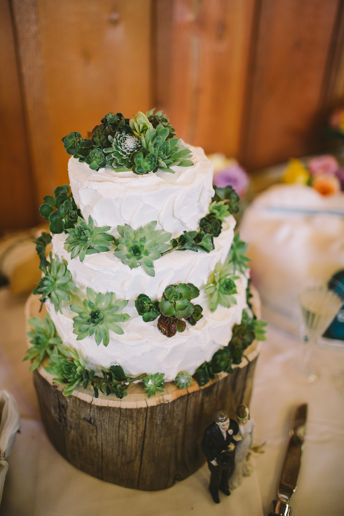 brett-birdsong-photography-082814-succulent-wedding-cake.jpg