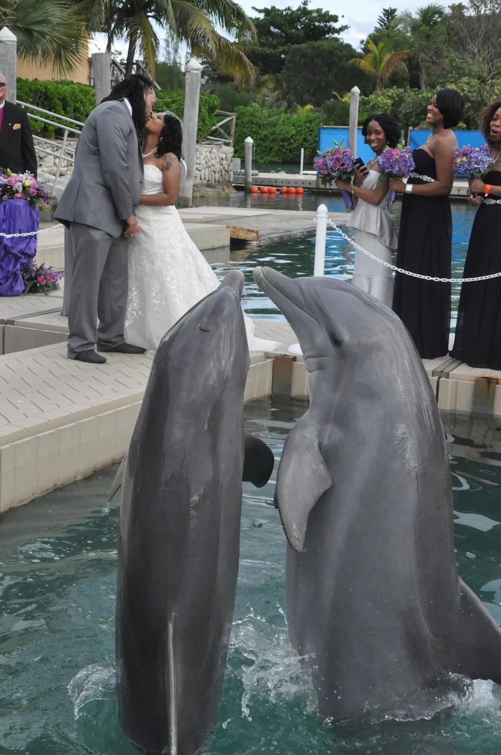 Say "I Do" in Grand Bahama Island, Bahamas with the Dolphin Experience complete with coordinated kisses / as seen on www.BrendasWeddingBlog.com