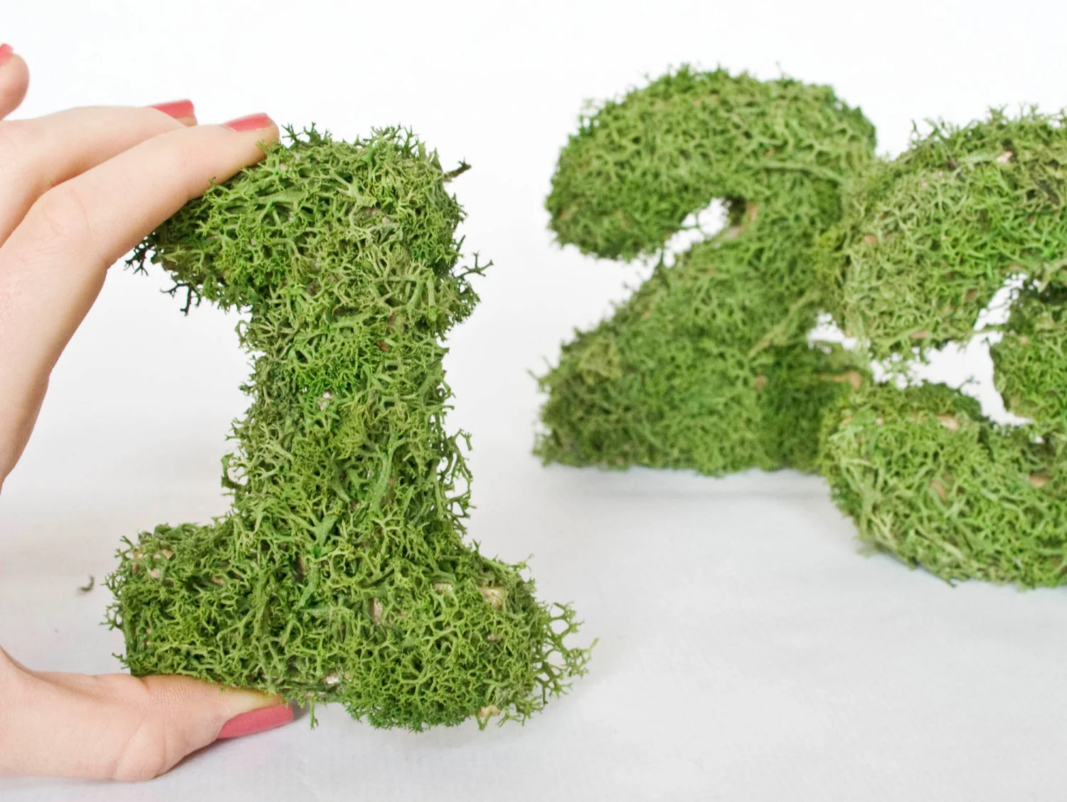 Moss Wedding Table Numbers from Pointless Pretty Etsy