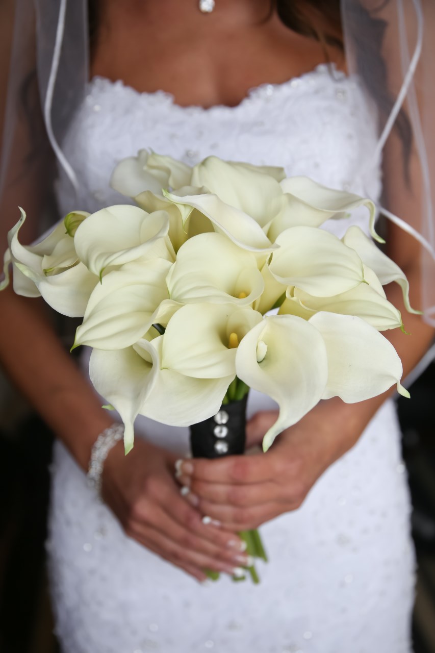 A Blue and Black Canadian Wedding with Dog Ring Bearers