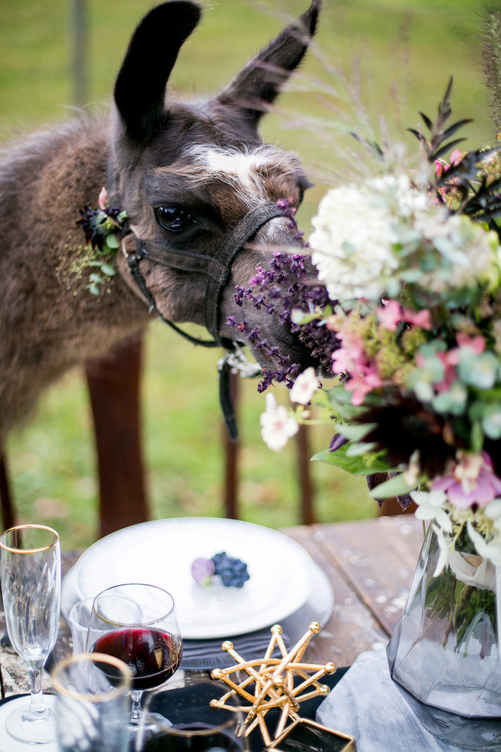  Moody and Dramatic Wedding Ideas + Inspiration —&nbsp;photo by Chantal Routhier Photography — click to see more inspiration on www.BrendasWeddingBlog.com 