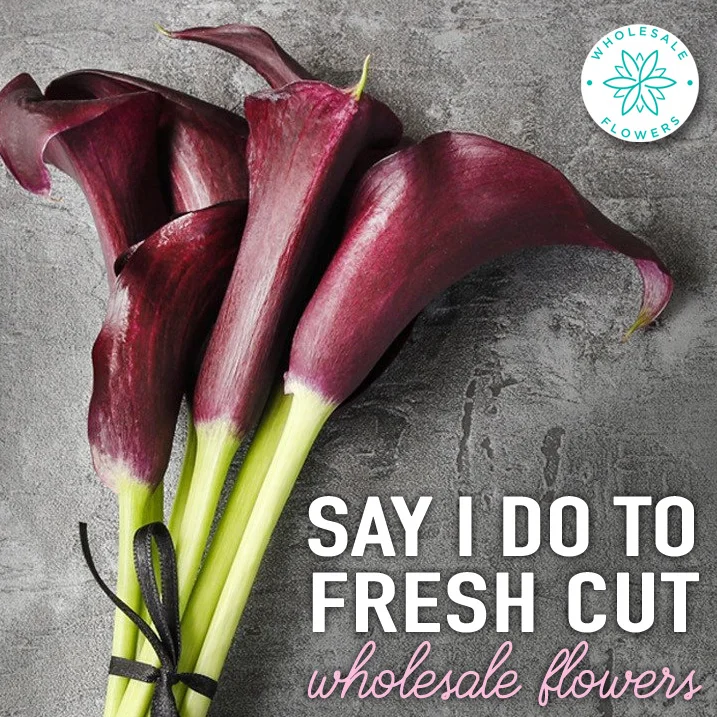 Say I Do with Fresh Cut Wholesale Flowers for Weddings and Events
