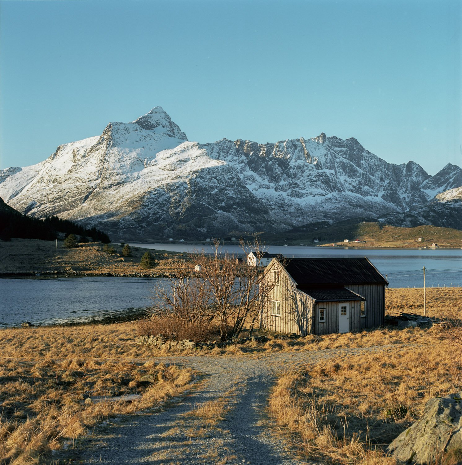 blad-lofoten-010.jpg