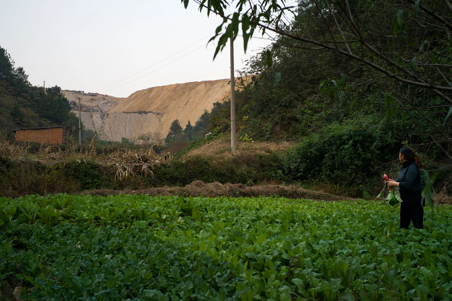 shiyantimfranco-1007687.jpg