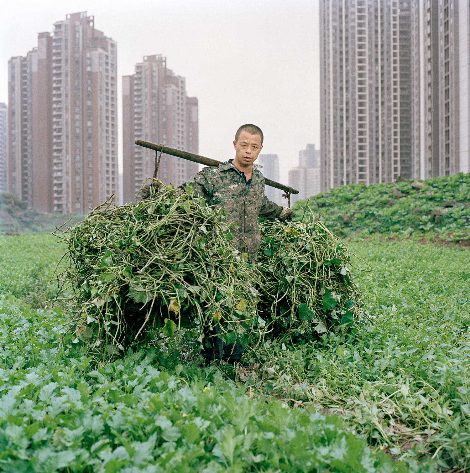 Wang Chengyun helping his uncle to clear lands in the new developed district of Jiangbei in Chongqing