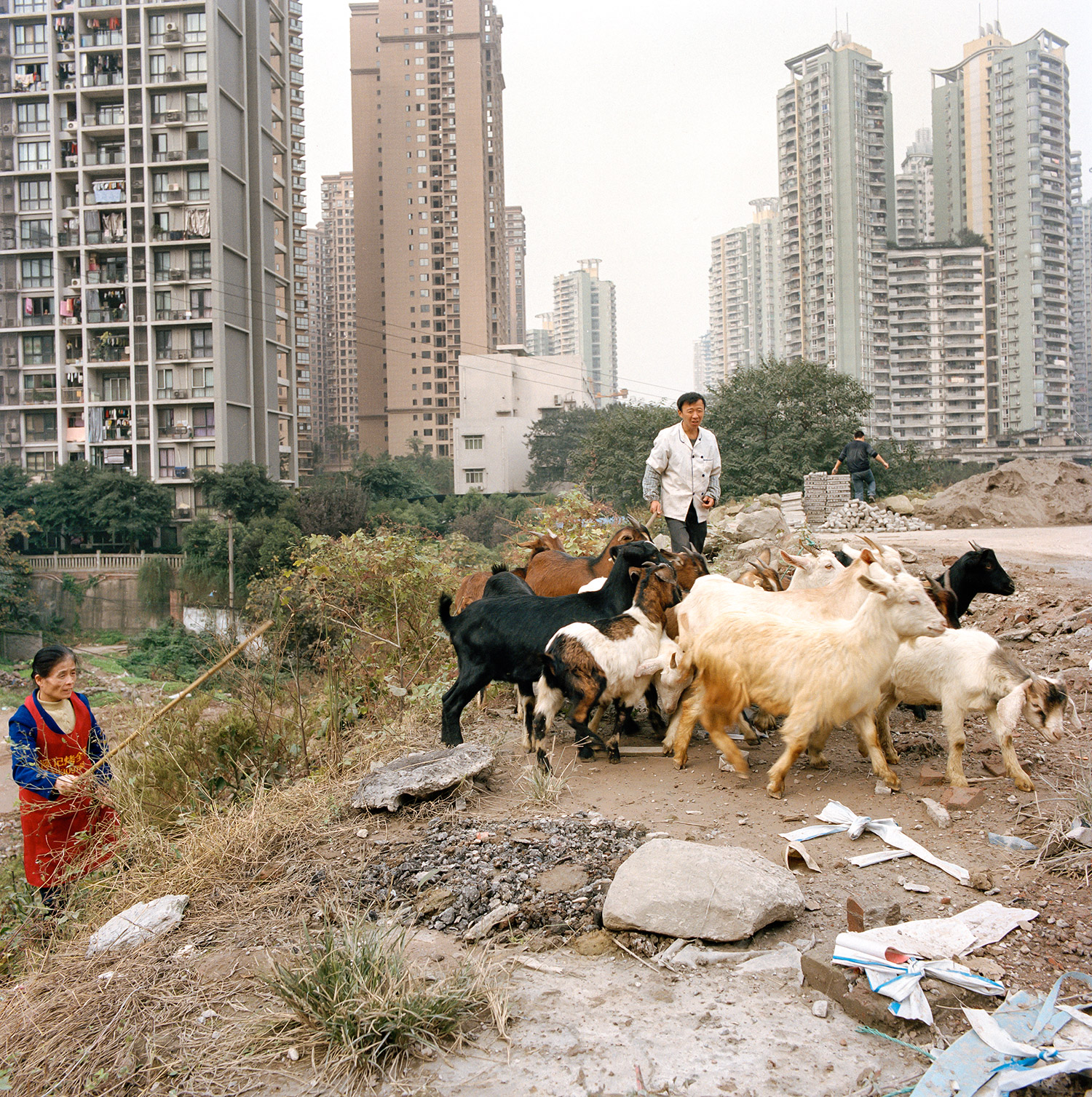 chongqing_TimFranco-011.jpg