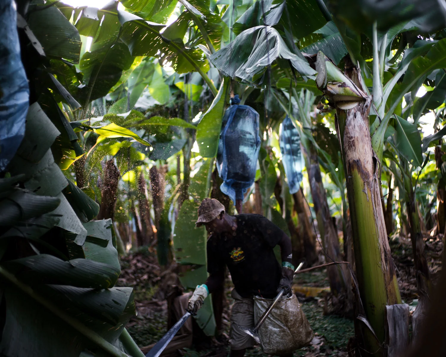 costa-rica-9414.jpg