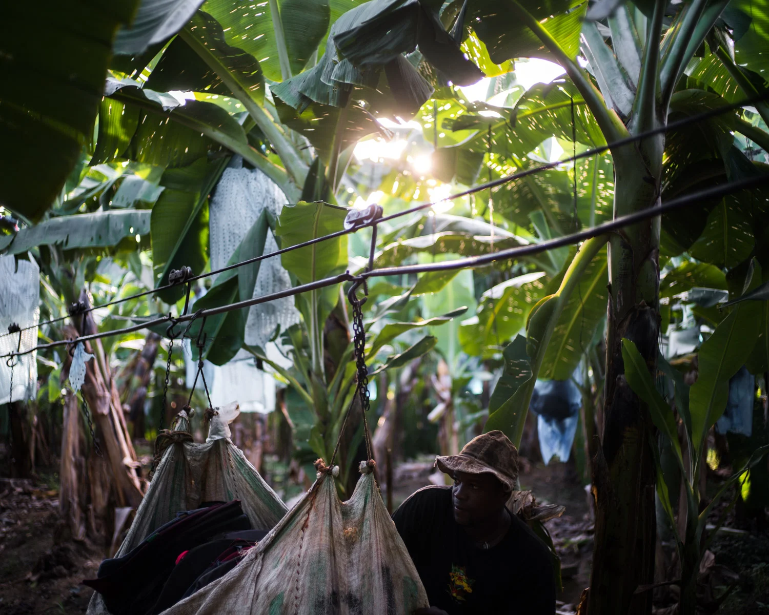 costa-rica-banana-trade-9491.jpg