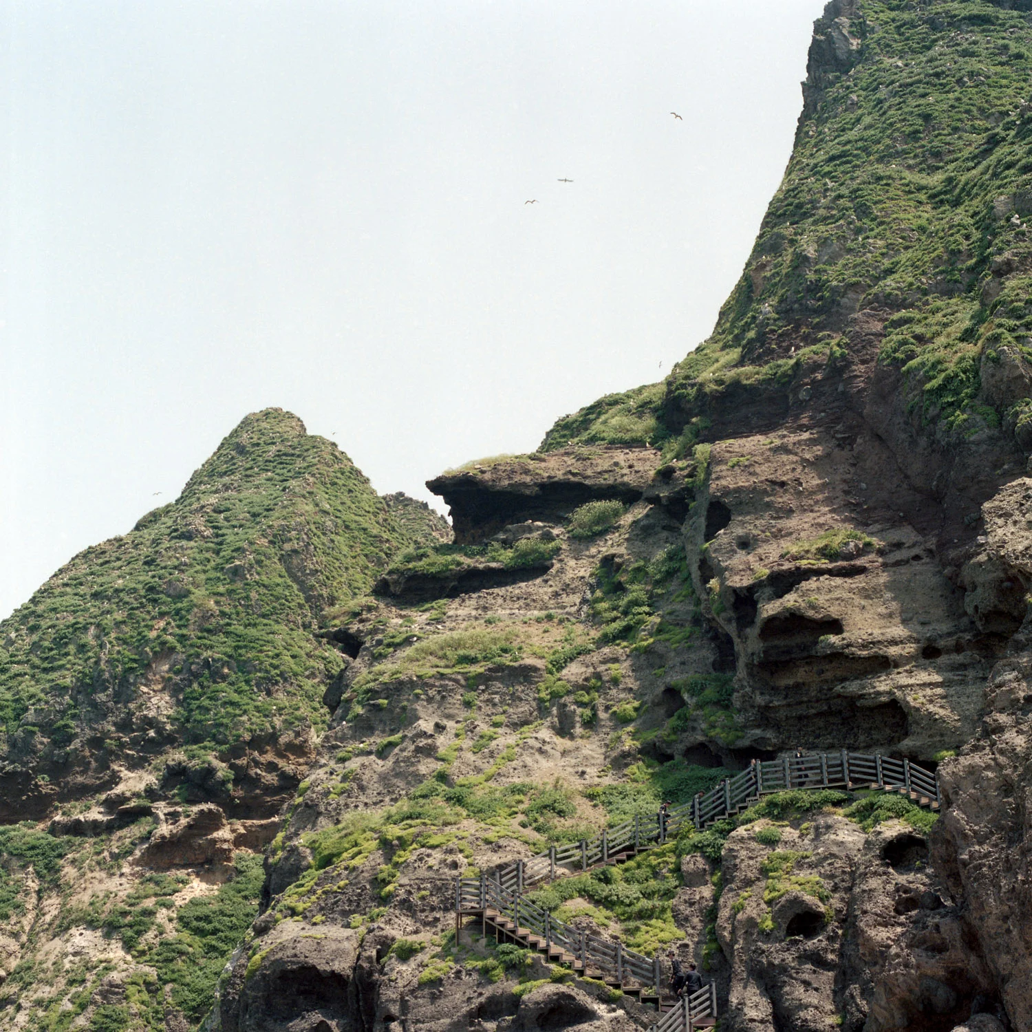 doko-web-652.jpg