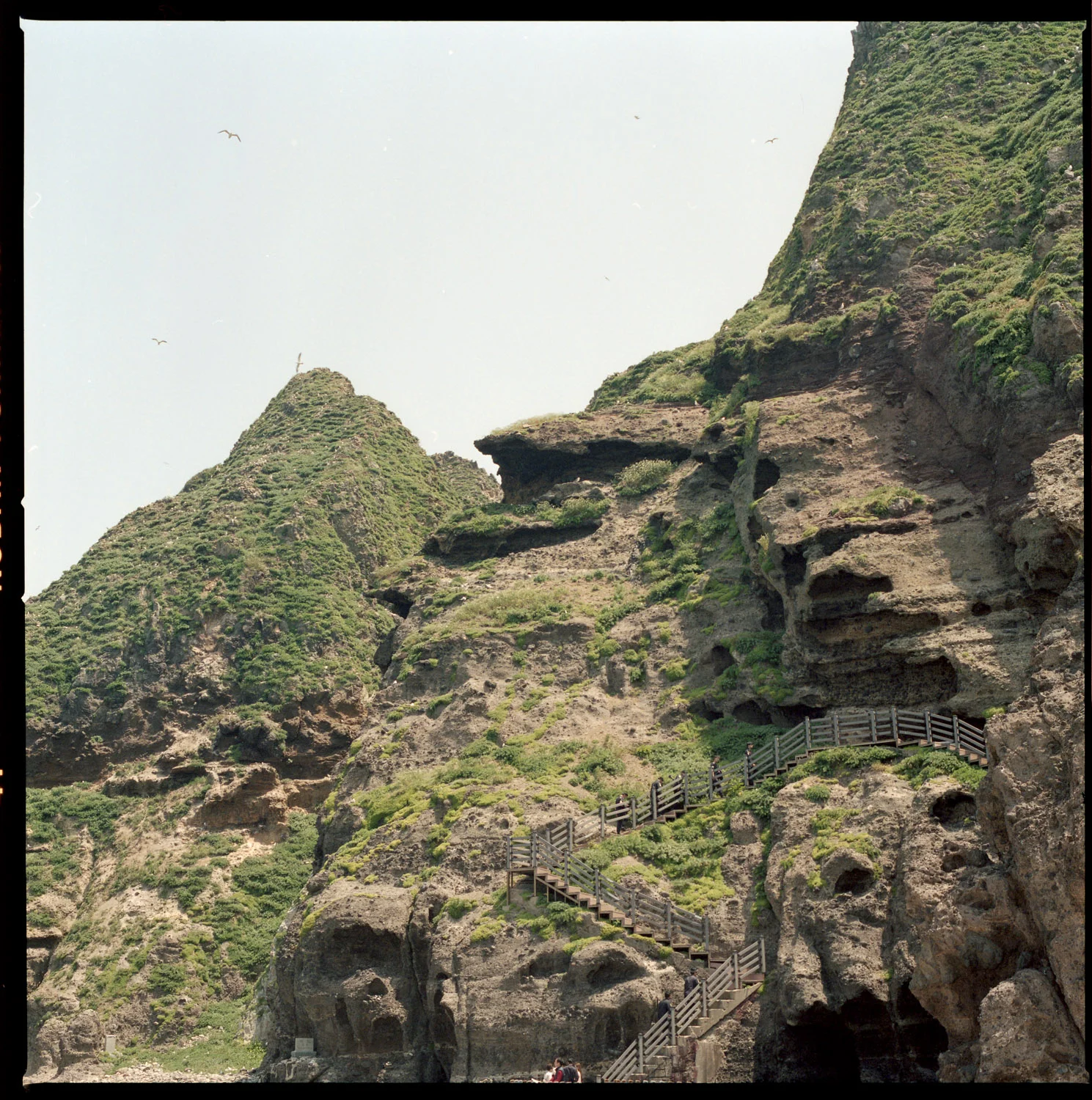 doko-web-653.jpg