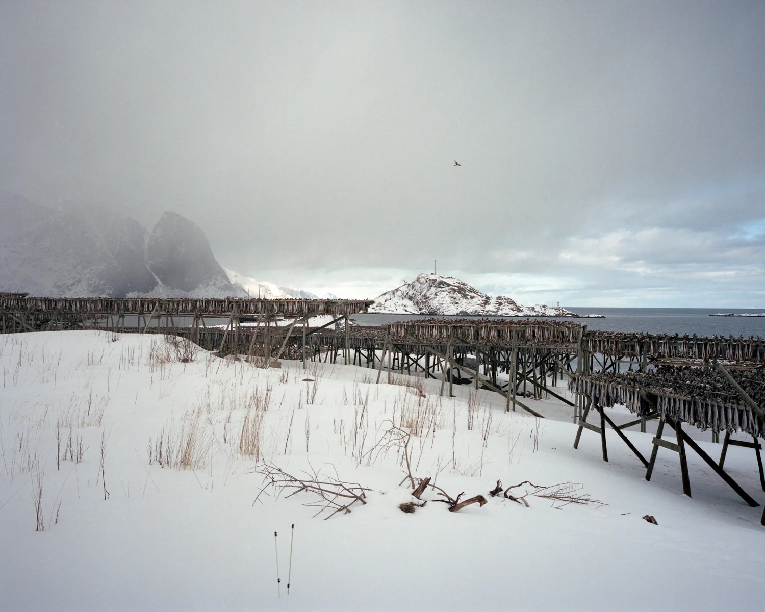 portfolio-norway-277.jpg