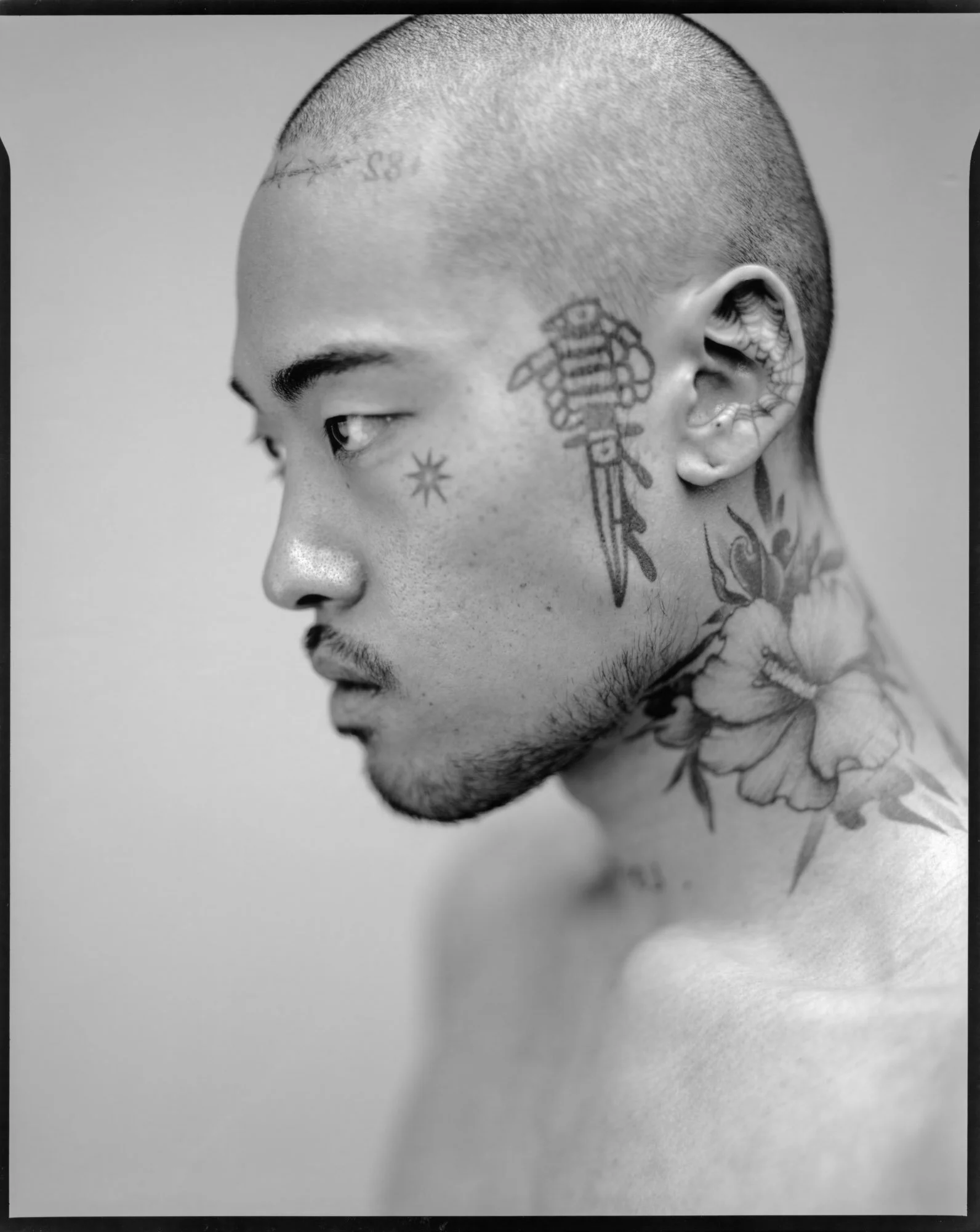 Illicit-ink-810069.jpg