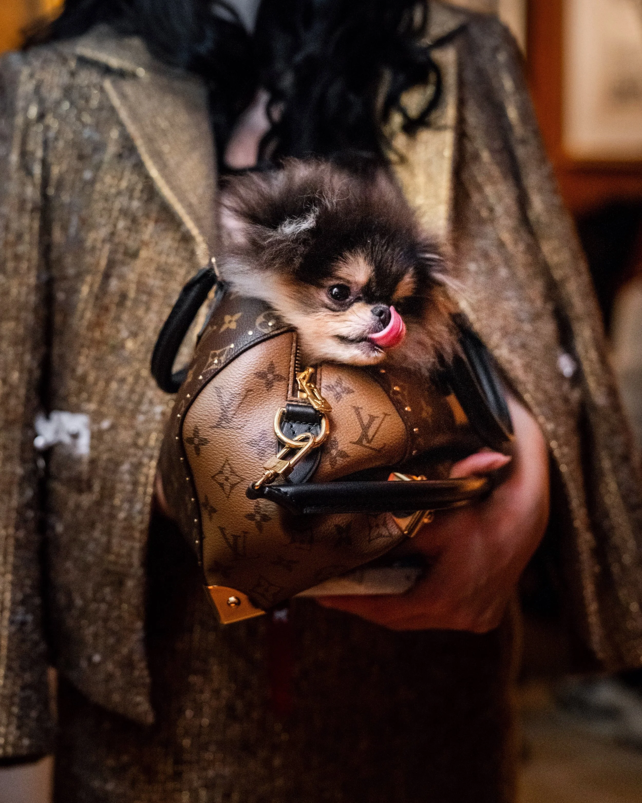 LV_SSG_Opening_VIP-106872 (2).jpg