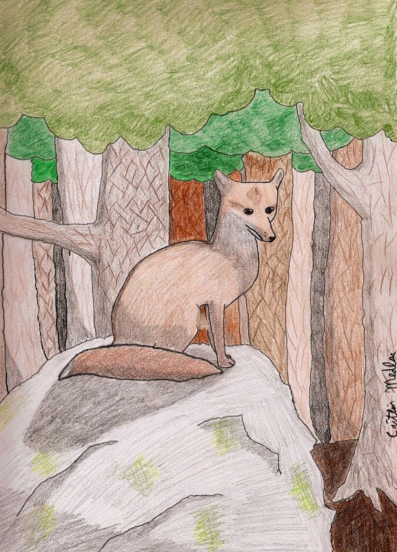 Fox in Forest - CM.jpg