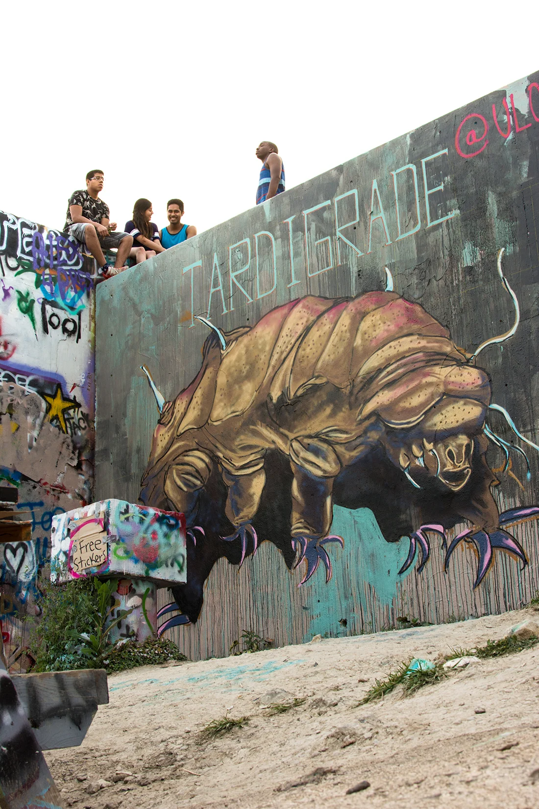 What the heck is a Tardigrade?