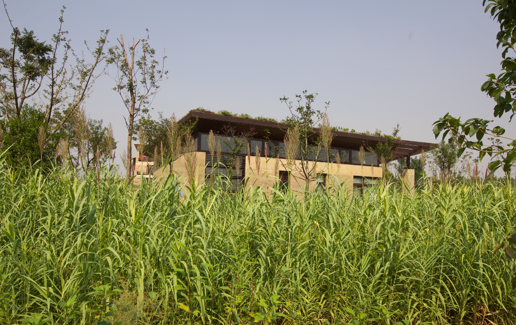 Screen Shot 2016-11-11 at 12.15.37 AM.png