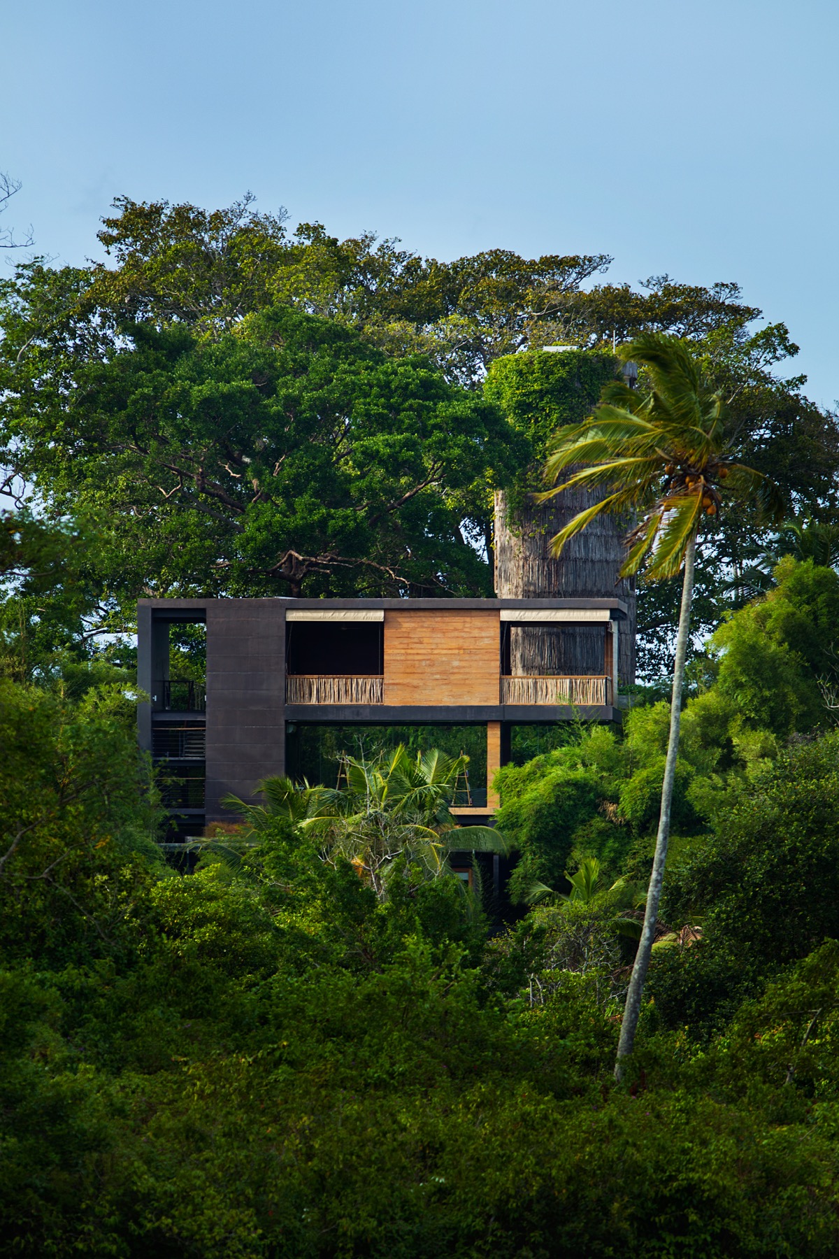 Copy of TRI_3720.jpg