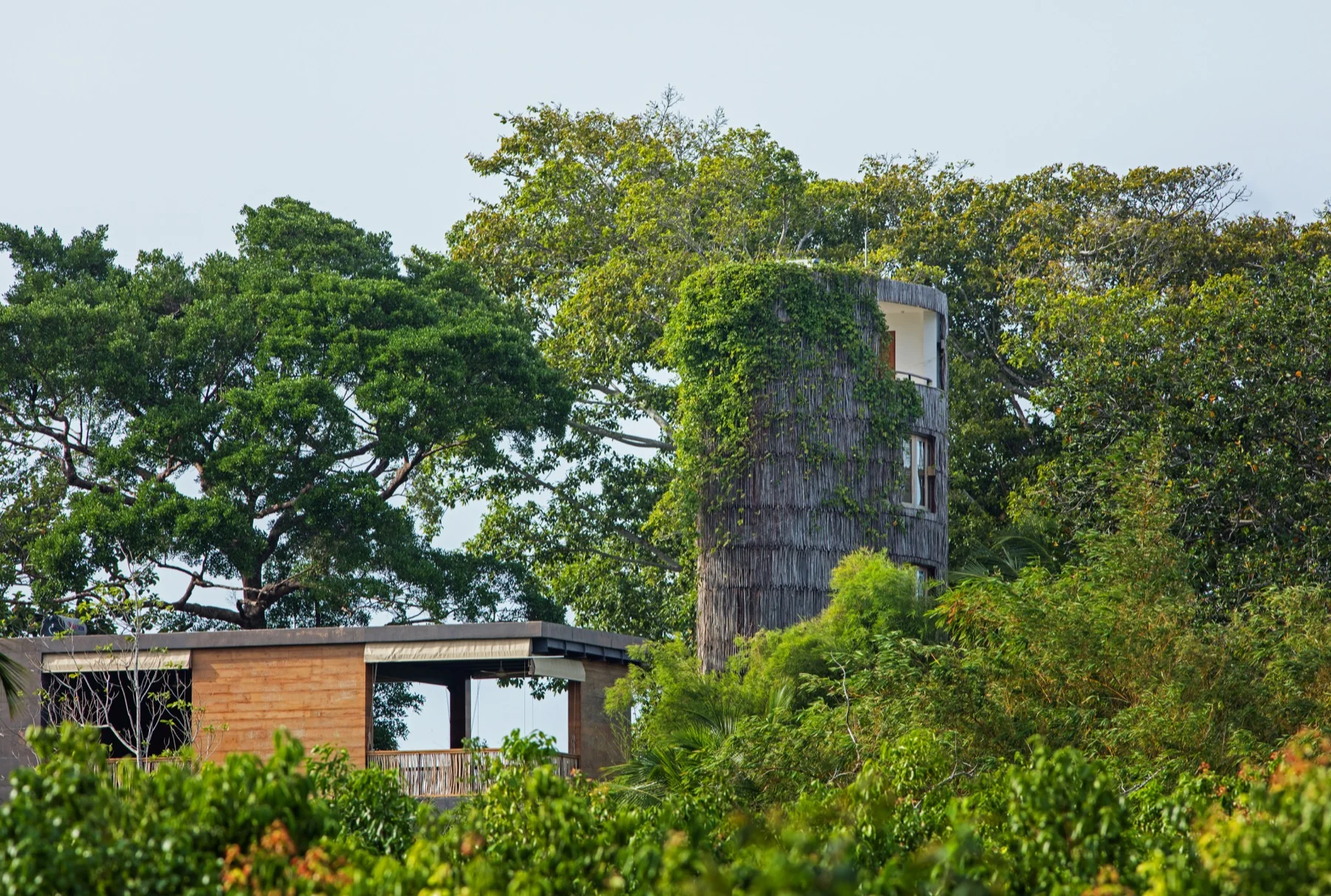 Copy of Copy of TRI_3751.jpg