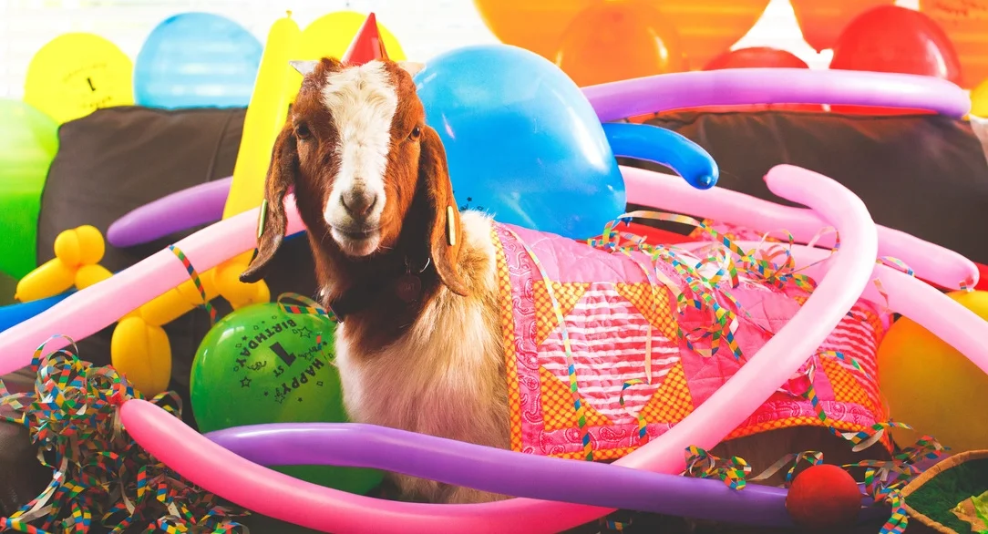 The Goat's Birthday Still.jpg